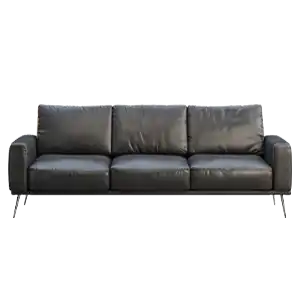 Curbside Office Couch Pickup with SamedayCurbside